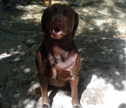 hermosa foto de mi niña cerca de un rio, a pleno sol, me dedica esta sonrisa